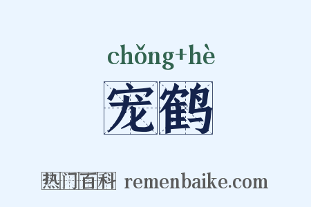 宠鹤是什么意思的图片